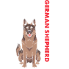 German Shepherd Us Flag