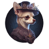 Chihuahua - Dame Anglaise Robe Chien