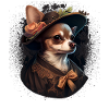 Chihuahua - Dame Anglaise Robe Chien