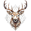 Deer Geometric