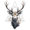 Deer Geometric