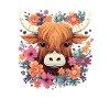 Scottish Highland Cow Cattle
