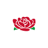 England Rugby Team