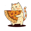 Cat carries pizza slice