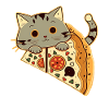 Pizza mit Katze