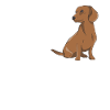 Hund Dackel Hundebesitzer Geschenkidee
