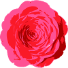 Fleur