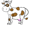 Vache