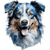 Australian Shepherd Polygon