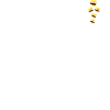 Brunei