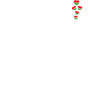 Union du Maghreb arabe