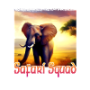 Elephant in Africa - Safari Squad