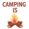 Camping fire