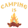 Camping is fire