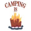 Campfire in the camp