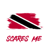 Trinidad and Tobago flag