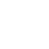 Politics English