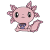 Coffee Cute Axolotl