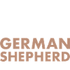 Café et berger allemand