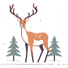 Deer