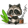 Joint Rolling Raccoon