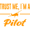 Pilot Saying Airplane