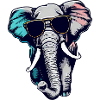 Cool Elephant - Elephant with sunglasses