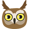 Owl Head – Cute Animal Illustration
