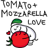 Tomato and mozzarella pair (b)