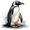 Penguin on ice floe