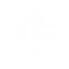 High Definition Mushroom
