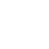 White Bison