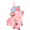 Pig's horn