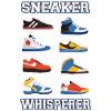 Collectionneur Sneakerhead
