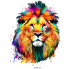 Lionsplash