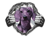 Hund Dackel Hundebesitzer Geschenkidee