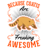 Coati Cadeau Proboscis Bear Coati