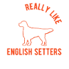 Setter anglais Englischer Setter