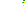 French Guiana