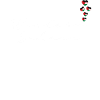 Western Sahara