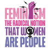 Feminist Feminism The Radical