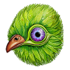Cute and naughty kiwi