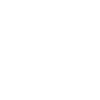 Venezia