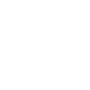 Venice Venezia