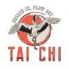 Tai Chi Breath In Flow Out Taichi Meditazione Taiji