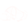 Prehistoric Rhino - White