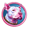 Pitbull Rose