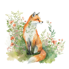 Renard dans le pré