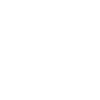 Evolution French Bulldog