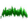 Wald Natur Spruch Geschenkidee
